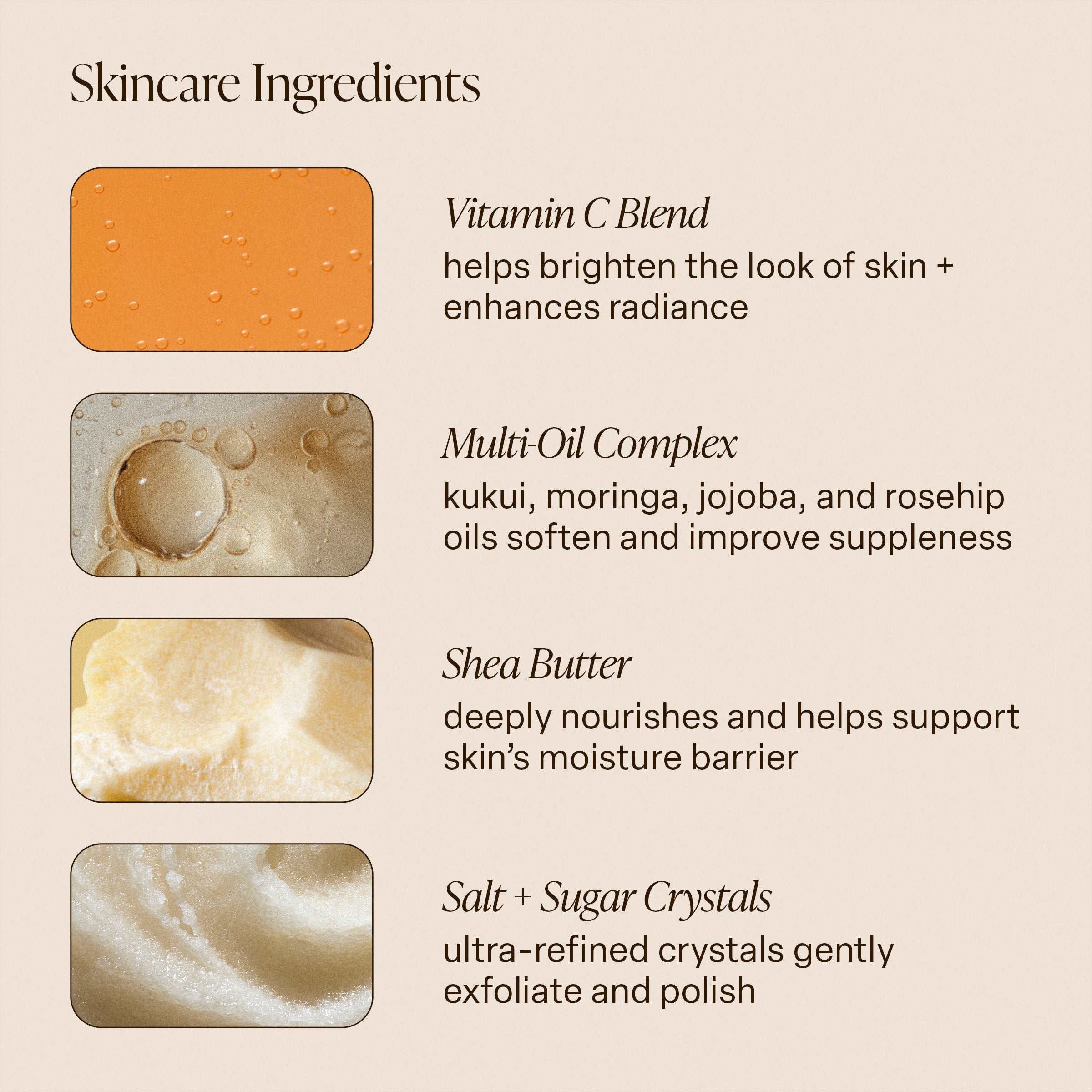 Coral Coast Body Scrub 5