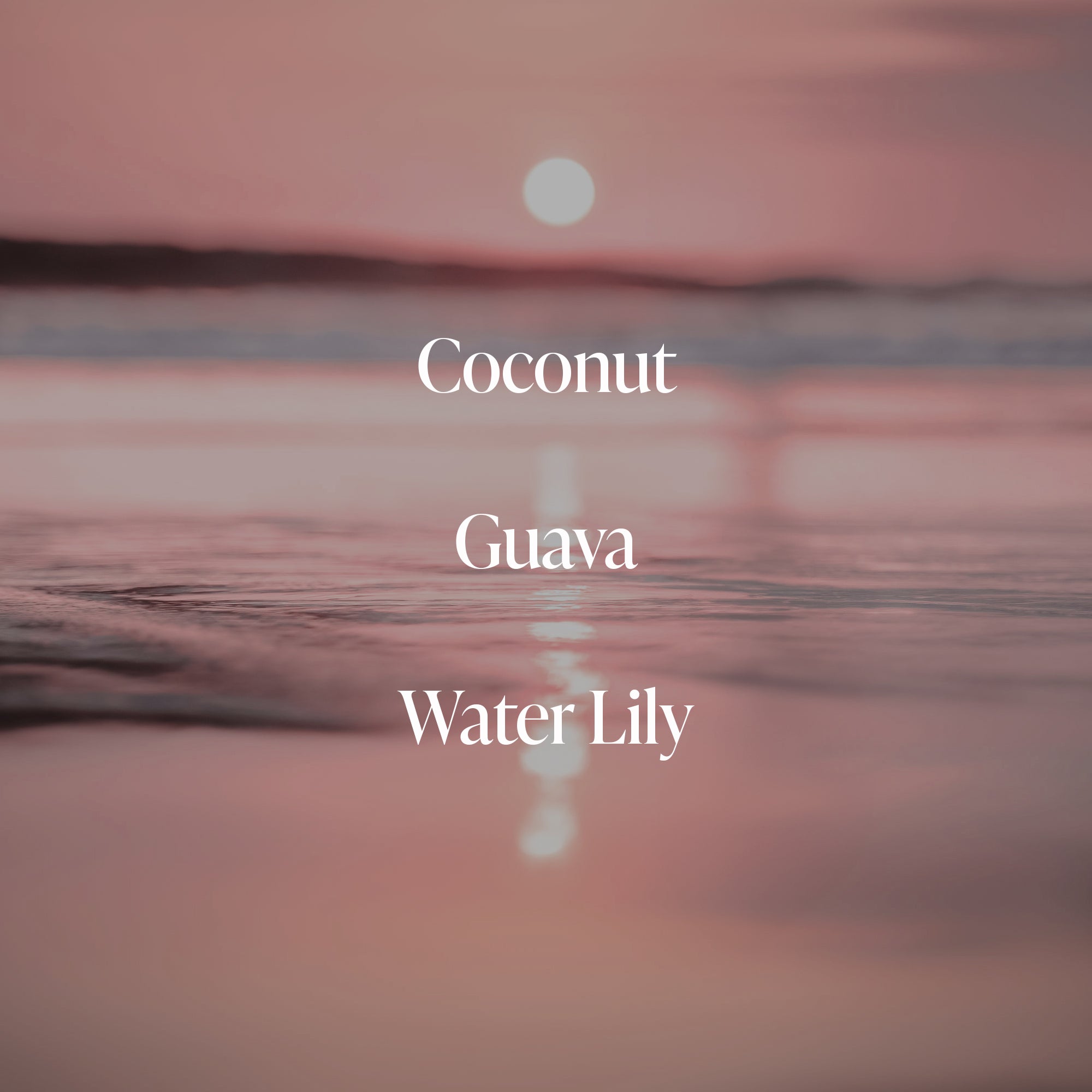 Coral Coast Body Scrub 6